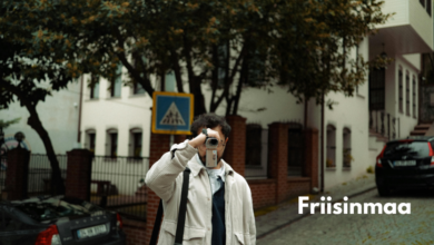 Friisinmaa