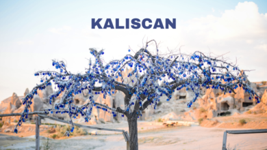 kaliscan