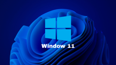 window 11