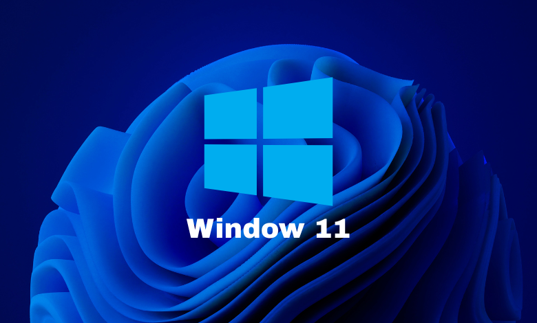 window 11