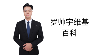 罗帅宇维基百科