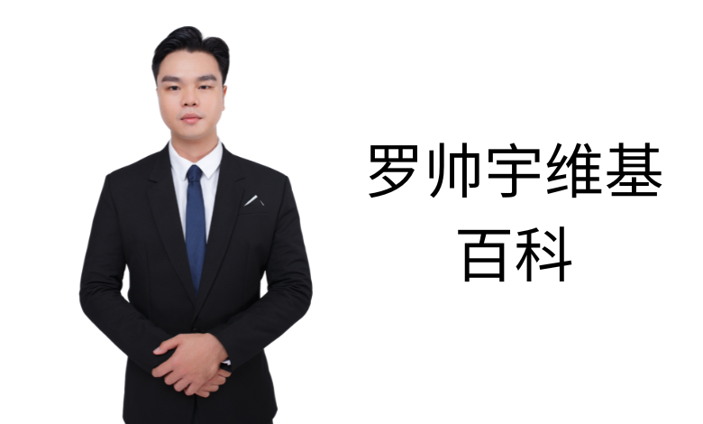 罗帅宇维基百科