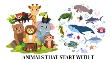 animals that start with t