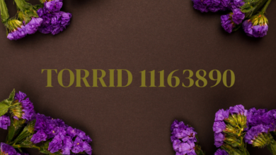 torrid 11163890