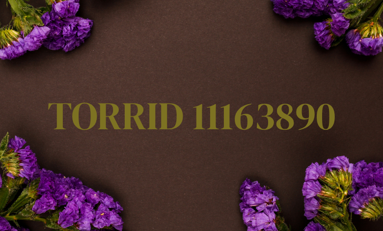 torrid 11163890
