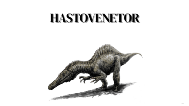 hastovenetor