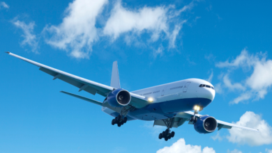 zopalno number flight